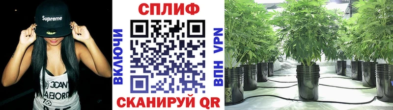 где продают   Лермонтов  Канабис THC 21% 